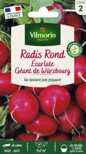 Radis Rond Ecarlate Géant de Würzbourg